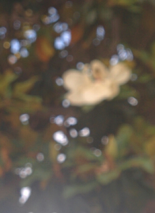 wp-1401043894882 image