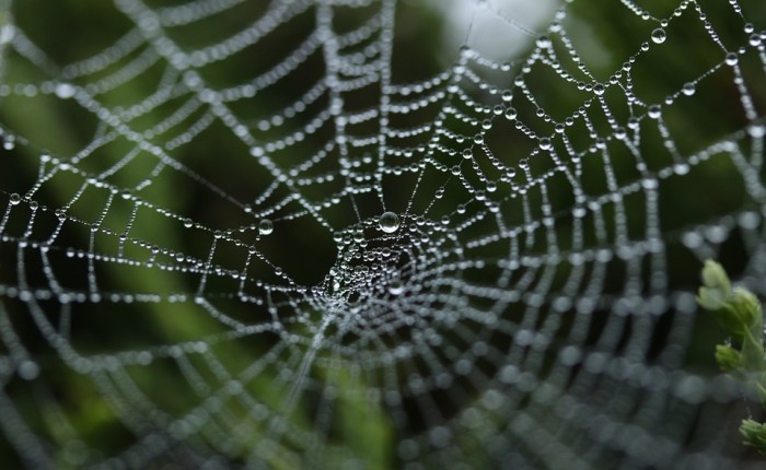 5 “Sexiest” Free Online Courses on Data&nbsp;Analaytics